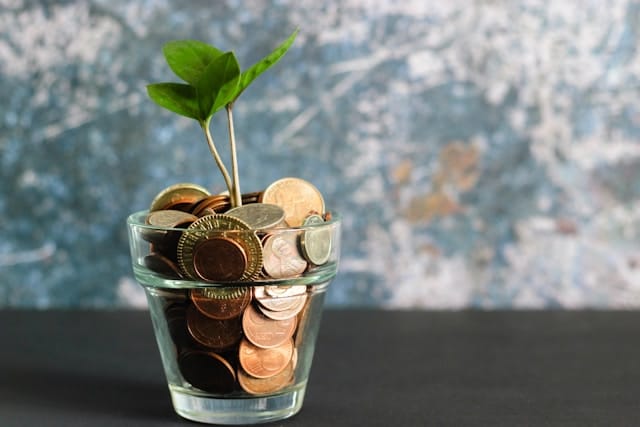 What’s the ROI of Hiring a Fractional CFO?